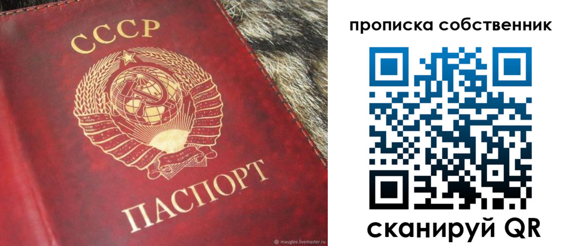 прописка в квартире в Жукове